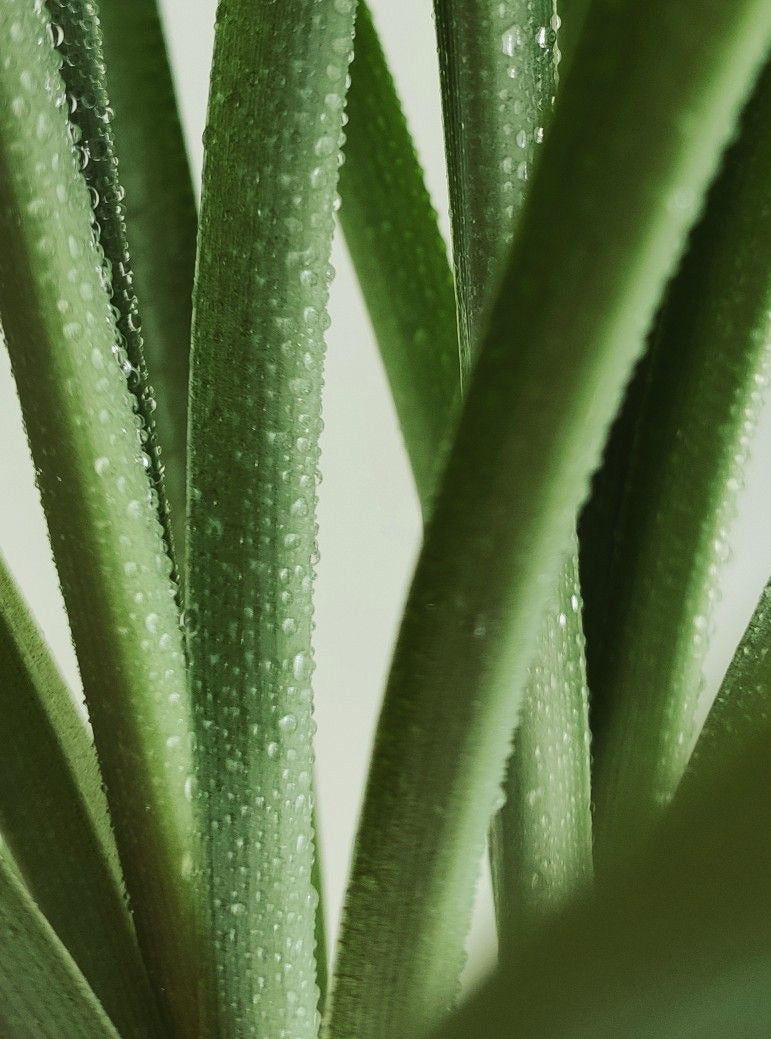 エーエムウェイクアップマスクボックス